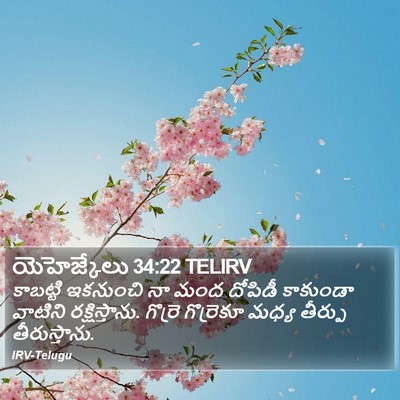 యెహెజ్కేలు 34:22 TELIRV Bible Verse Image