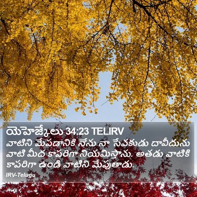 యెహెజ్కేలు 34:23 TELIRV Bible Verse Image