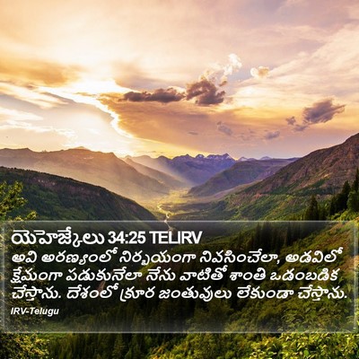 యెహెజ్కేలు 34:25 TELIRV Bible Verse Image