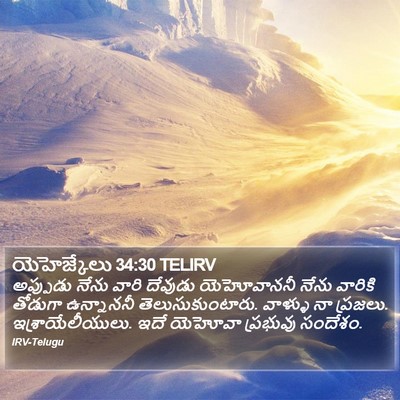 యెహెజ్కేలు 34:30 TELIRV Bible Verse Image