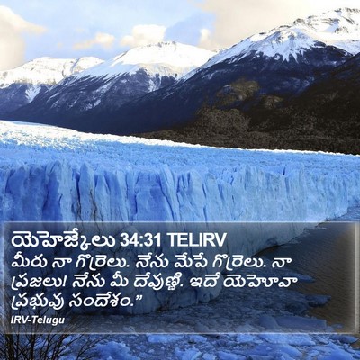 యెహెజ్కేలు 34:31 TELIRV Bible Verse Image