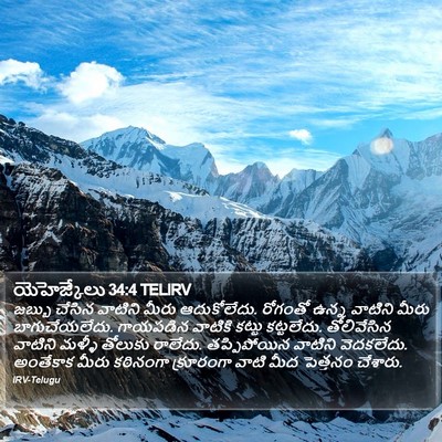 యెహెజ్కేలు 34:4 TELIRV Bible Verse Image