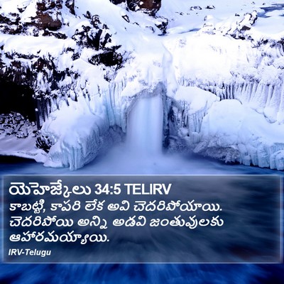 యెహెజ్కేలు 34:5 TELIRV Bible Verse Image