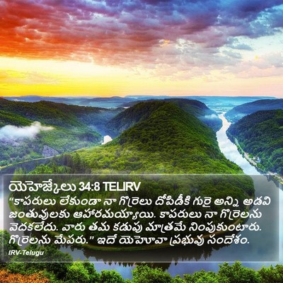 యెహెజ్కేలు 34:8 TELIRV Bible Verse Image