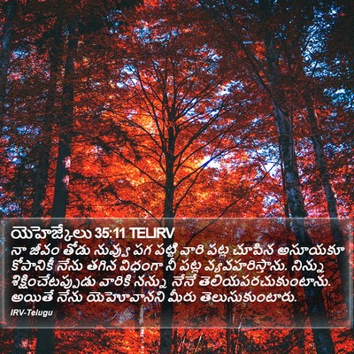 యెహెజ్కేలు 35:11 TELIRV Bible Verse Image