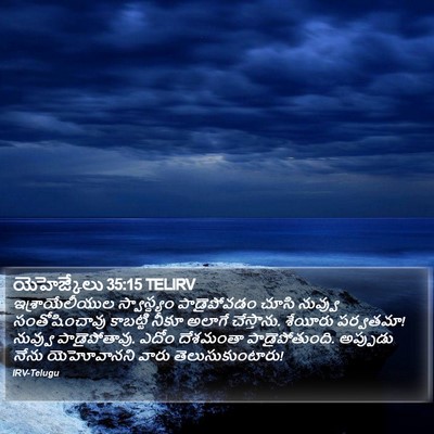 యెహెజ్కేలు 35:15 TELIRV Bible Verse Image