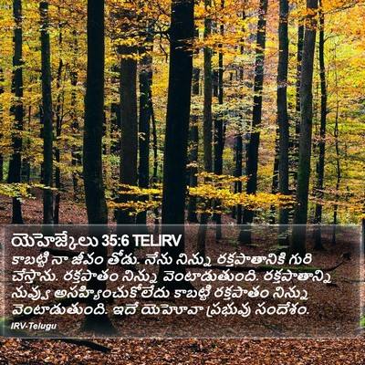 యెహెజ్కేలు 35:6 TELIRV Bible Verse Image