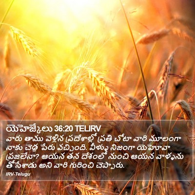 యెహెజ్కేలు 36:20 TELIRV Bible Verse Image
