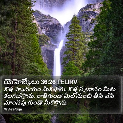 యెహెజ్కేలు 36:26 TELIRV Bible Verse Image