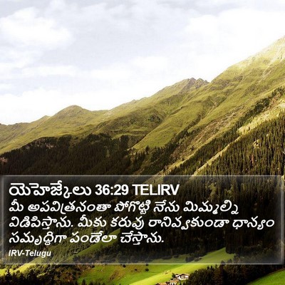 యెహెజ్కేలు 36:29 TELIRV Bible Verse Image