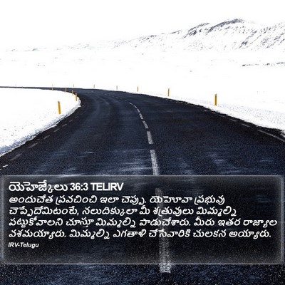 యెహెజ్కేలు 36:3 TELIRV Bible Verse Image