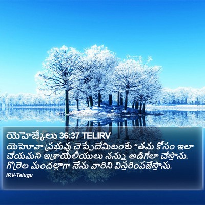 యెహెజ్కేలు 36:37 TELIRV Bible Verse Image