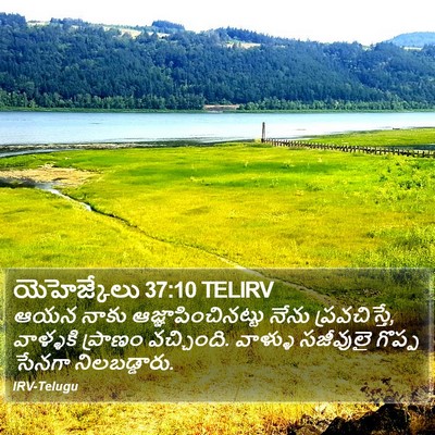 యెహెజ్కేలు 37:10 TELIRV Bible Verse Image