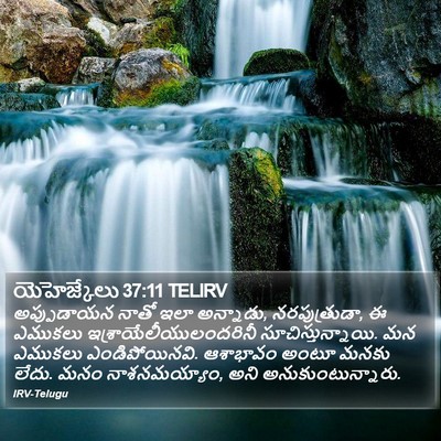 యెహెజ్కేలు 37:11 TELIRV Bible Verse Image