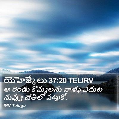 యెహెజ్కేలు 37:20 TELIRV Bible Verse Image