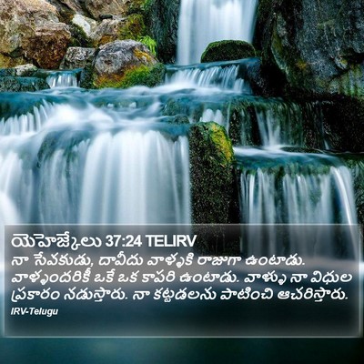 యెహెజ్కేలు 37:24 TELIRV Bible Verse Image