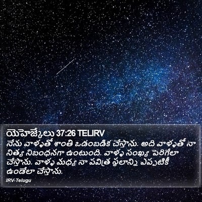 యెహెజ్కేలు 37:26 TELIRV Bible Verse Image