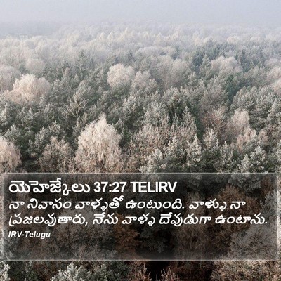 యెహెజ్కేలు 37:27 TELIRV Bible Verse Image