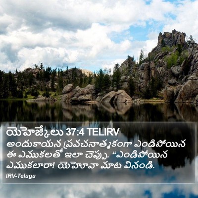 యెహెజ్కేలు 37:4 TELIRV Bible Verse Image