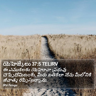 యెహెజ్కేలు 37:5 TELIRV Bible Verse Image