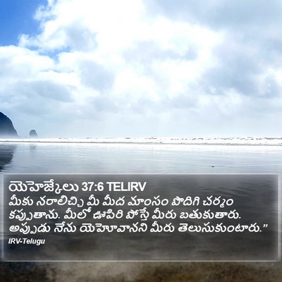 యెహెజ్కేలు 37:6 TELIRV Bible Verse Image