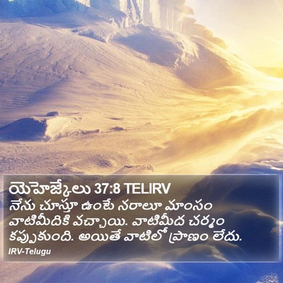 యెహెజ్కేలు 37:8 TELIRV Bible Verse Image