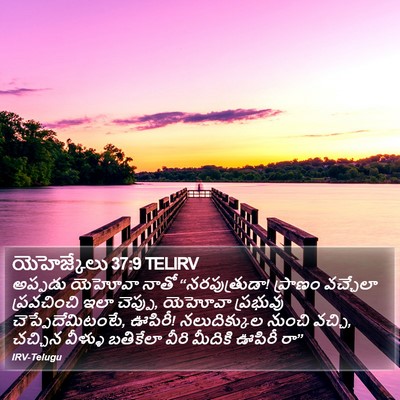 యెహెజ్కేలు 37:9 TELIRV Bible Verse Image