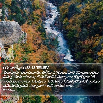 యెహెజ్కేలు 38:13 TELIRV Bible Verse Image