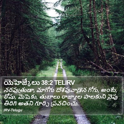 యెహెజ్కేలు 38:2 TELIRV Bible Verse Image