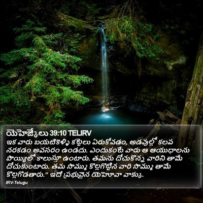 యెహెజ్కేలు 39:10 TELIRV Bible Verse Image