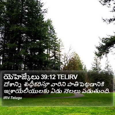 యెహెజ్కేలు 39:12 TELIRV Bible Verse Image