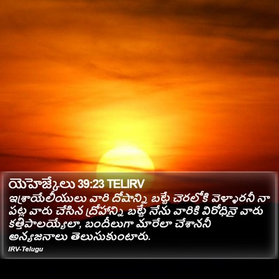 యెహెజ్కేలు 39:23 TELIRV Bible Verse Image