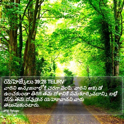 యెహెజ్కేలు 39:28 TELIRV Bible Verse Image