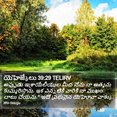 యెహెజ్కేలు 39:29 TELIRV Bible Verse Image