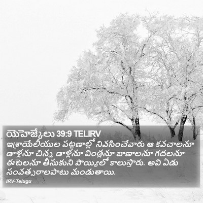 యెహెజ్కేలు 39:9 TELIRV Bible Verse Image