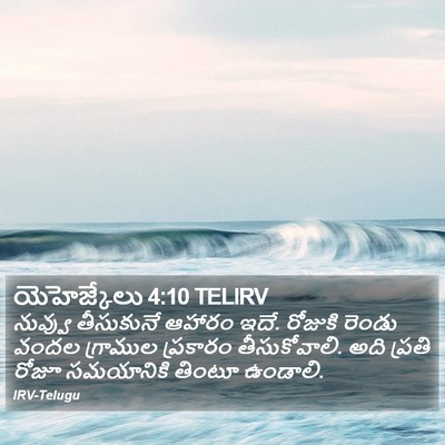 యెహెజ్కేలు 4:10 TELIRV Bible Verse Image
