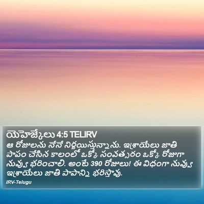 యెహెజ్కేలు 4:5 TELIRV Bible Verse Image
