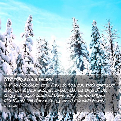 యెహెజ్కేలు 4:9 TELIRV Bible Verse Image