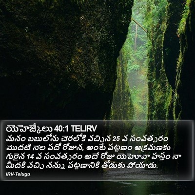 యెహెజ్కేలు 40:1 TELIRV Bible Verse Image