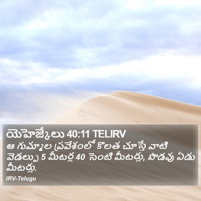 యెహెజ్కేలు 40:11 TELIRV Bible Verse Image