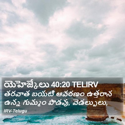 యెహెజ్కేలు 40:20 TELIRV Bible Verse Image
