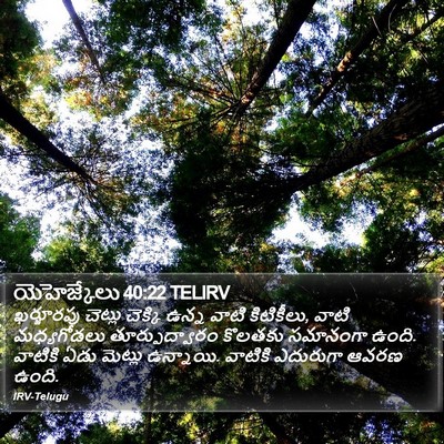 యెహెజ్కేలు 40:22 TELIRV Bible Verse Image