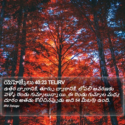 యెహెజ్కేలు 40:23 TELIRV Bible Verse Image