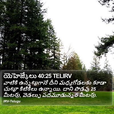 యెహెజ్కేలు 40:25 TELIRV Bible Verse Image