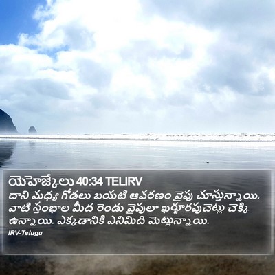 యెహెజ్కేలు 40:34 TELIRV Bible Verse Image