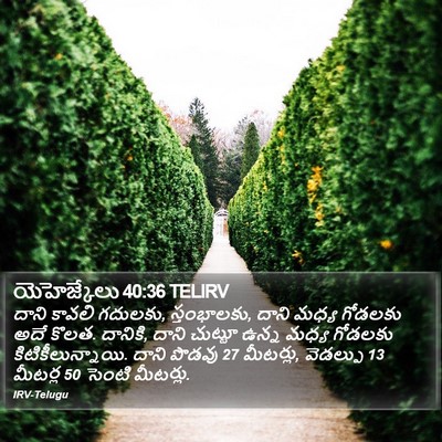 యెహెజ్కేలు 40:36 TELIRV Bible Verse Image