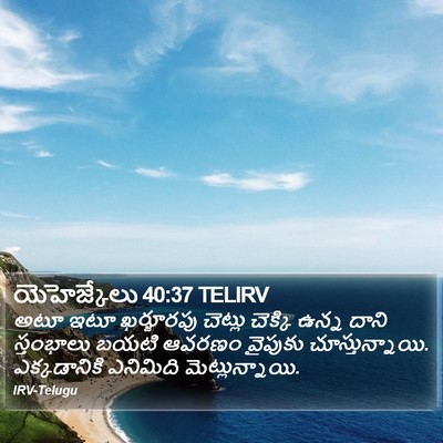 యెహెజ్కేలు 40:37 TELIRV Bible Verse Image