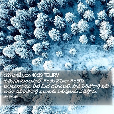 యెహెజ్కేలు 40:39 TELIRV Bible Verse Image