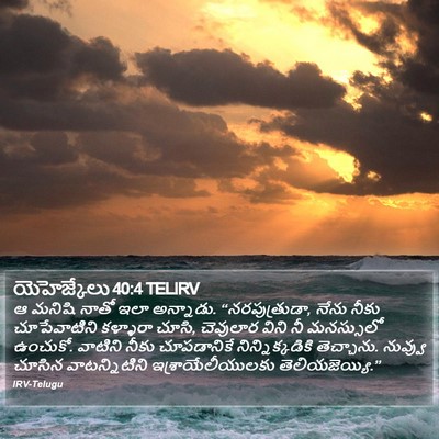 యెహెజ్కేలు 40:4 TELIRV Bible Verse Image