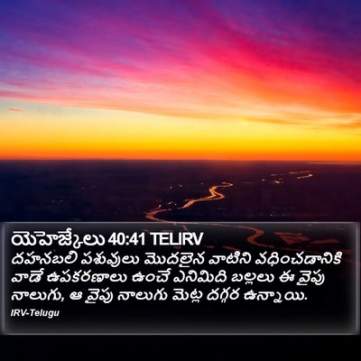 యెహెజ్కేలు 40:41 TELIRV Bible Verse Image